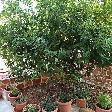 Bella Vista 3* Himare